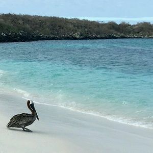 Meet your Posher, Holly